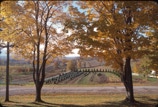Golden leaves of fall foliage frame Chrismas tree farm.