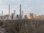Aspiring spires, Central Park Central South, winter.