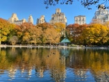 Boat pond with reflections of Fifth Avenue Buildings