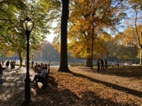 Autumn beauty in NYCs Central Park.