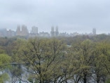 Descending fog enshroudes Central Park West.