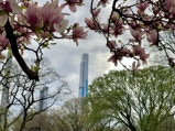 Towering Central Park South tower framed by cherry blossoms.